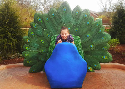 Peacock Photo Op