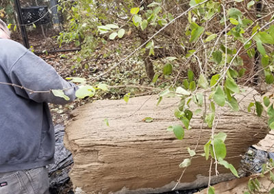 Steve begins the carving process to make this log look like a natural part of the park.