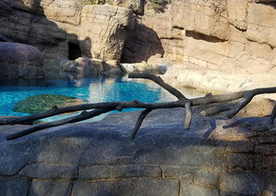 Stainless Steel welded tubes made to look like wood for sea lion exhibit barriers.