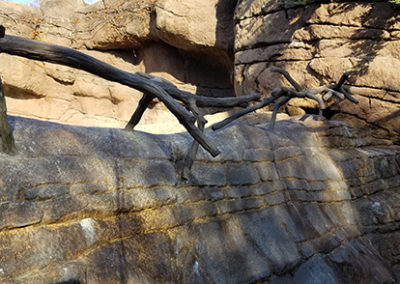 Stainless steel sculpted to look like wood for sea lion exhibit