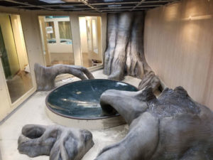 Reticulated Python exhibit at the Indianapolis Zoo