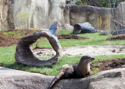 River Otters Exhibit sculpted concrete log shelters at the Fort Wayne Children's Zoo