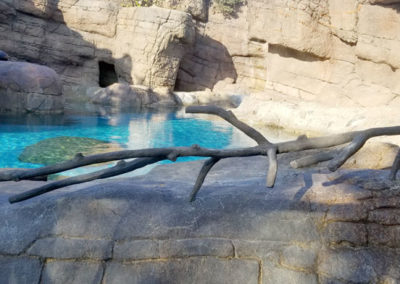 Stainless Steel Core sculpted to look like branches or driftwood used as barriers for sea lions and Indianapolis Zoo