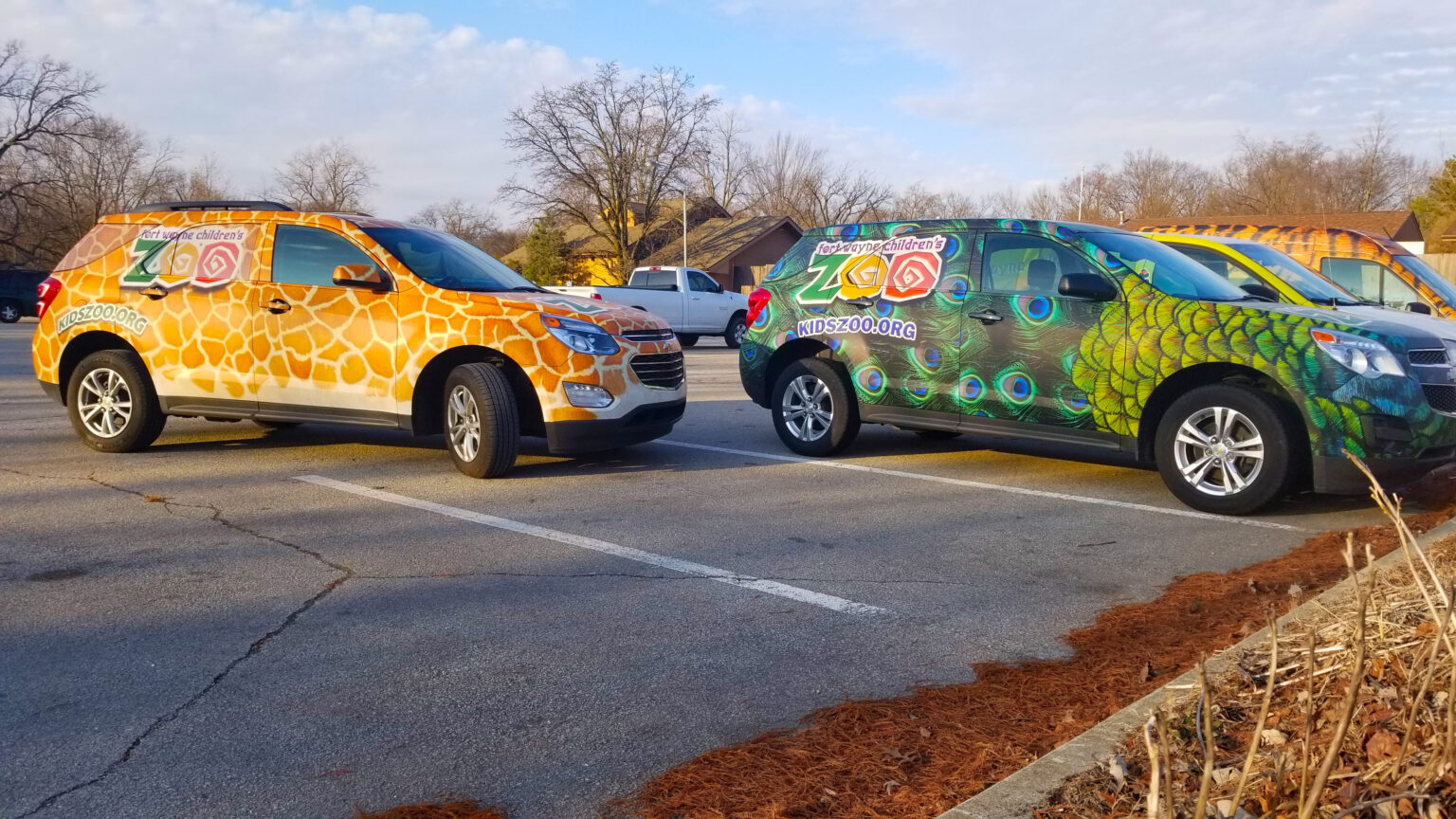 Animal Themed Vehicle Wraps, Fort Wayne Children's Zoo Steve Perry